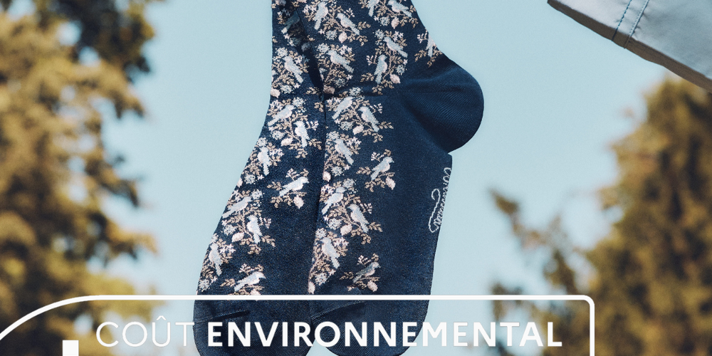 The Environmental Cost : What is it?