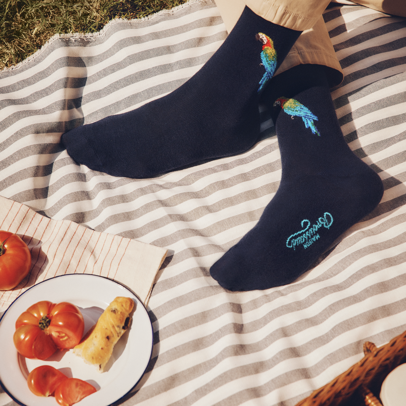 Le perroquet - chaussettes homme - coton marine