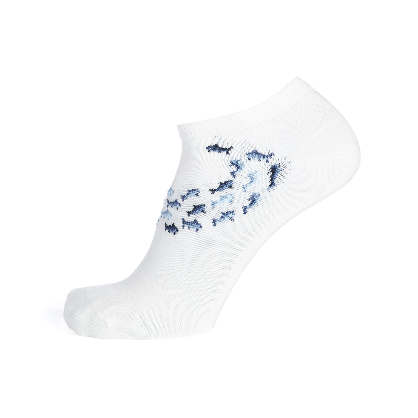 Les bancs de poissons