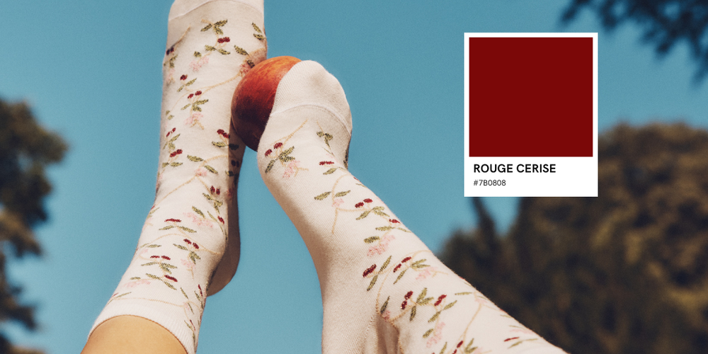 Tendance 2026 les combos de couleurs à adopter