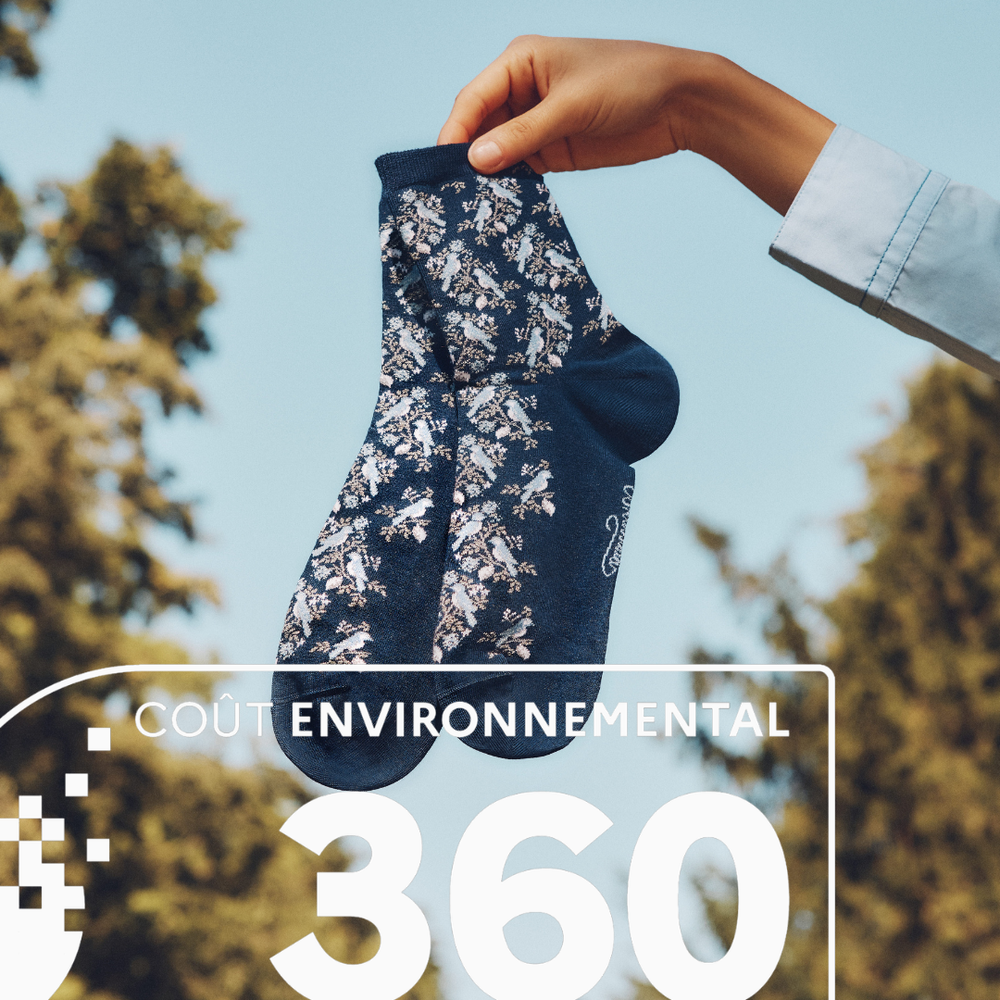 The Environmental Cost : What is it?