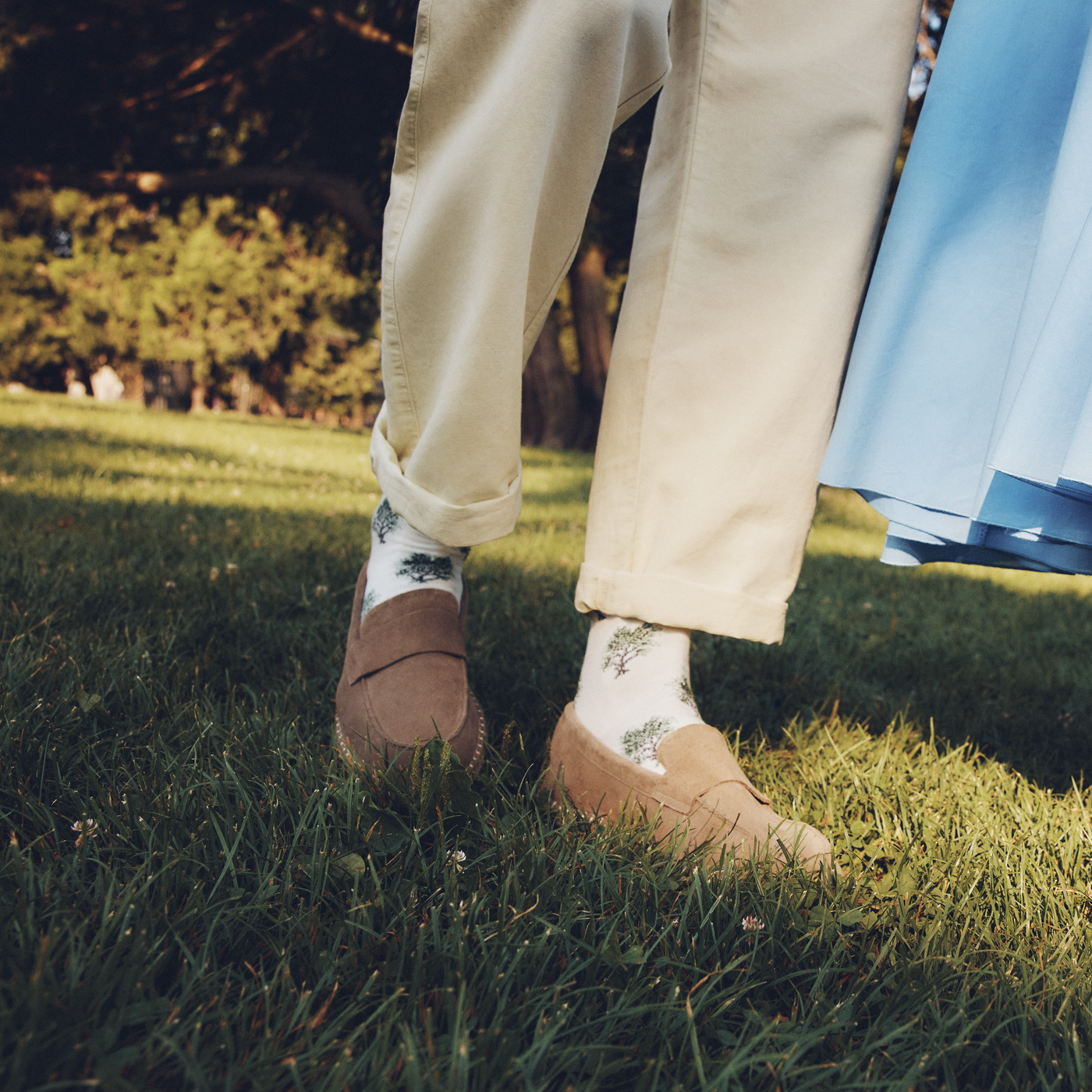 The Olive Trees - Men's Socks - White Cotton