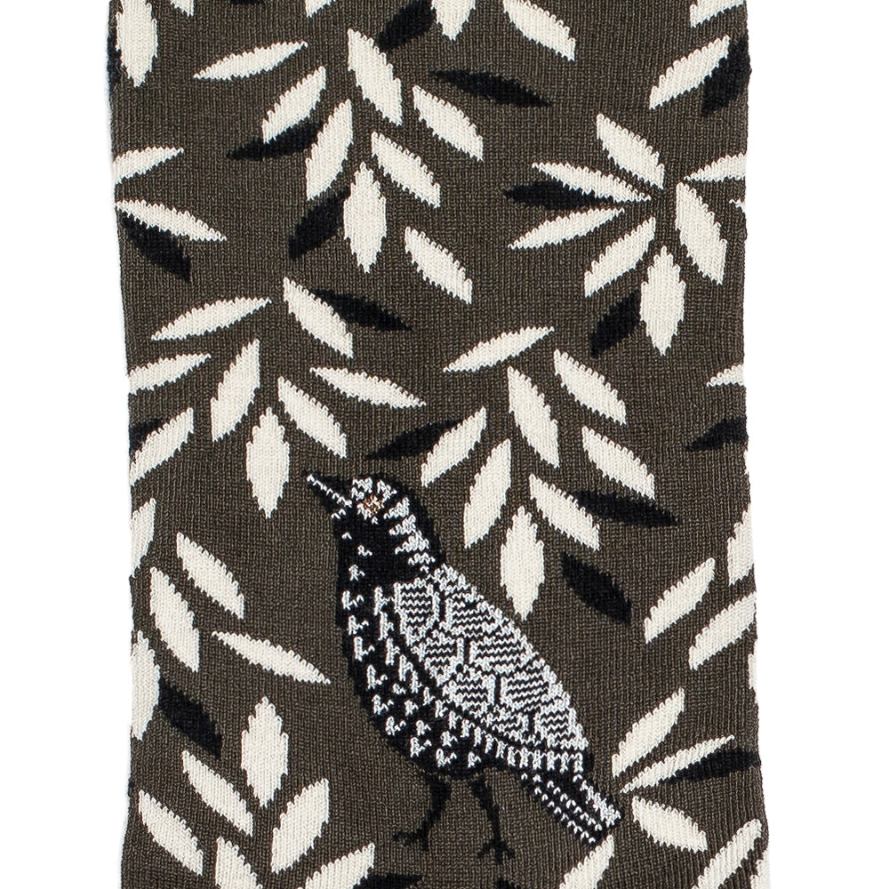 Bird - women's socks - khaki cotton