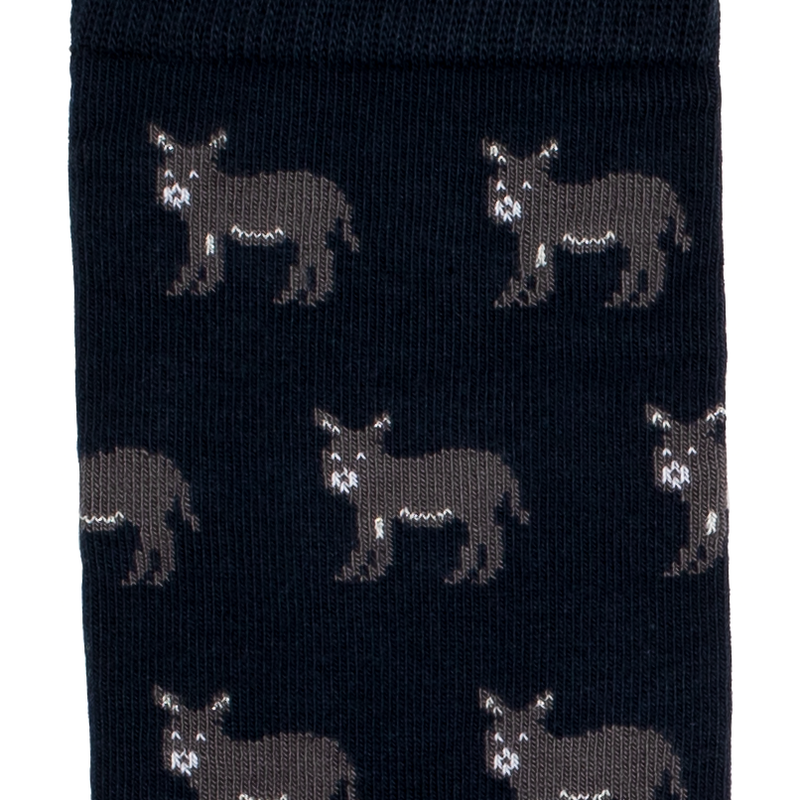 Les Anes - chaussettes homme - coton marine