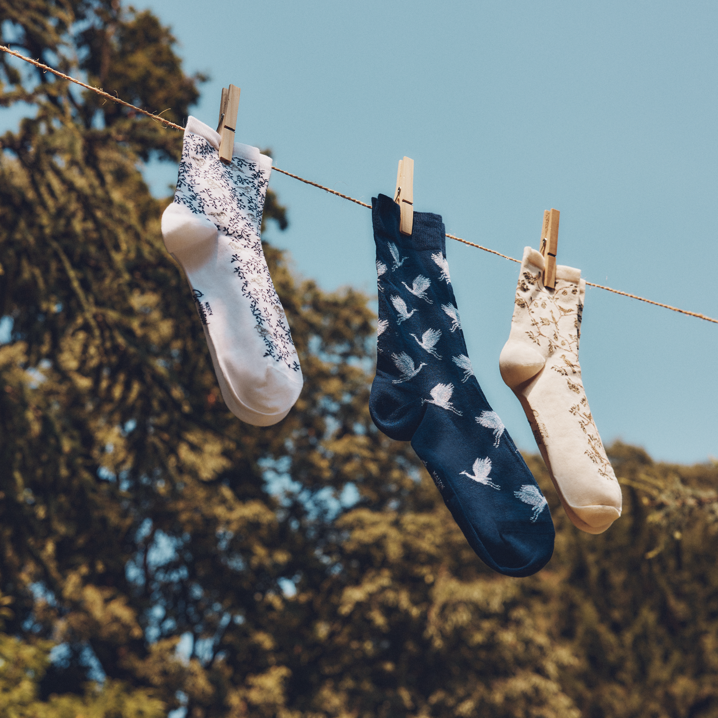 Les oies sauvages - Men's Socks - Navy Cotton